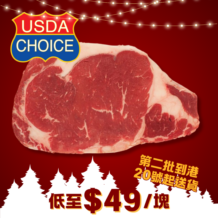 Frozen USDA Choice Ribeye Steak